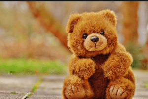 TEDDY DAY